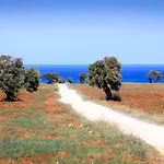 Tenuta Fonte فيلة
